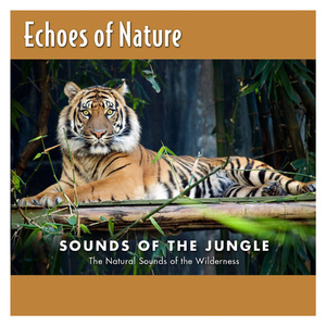 馬与人黃色毛片一部视频
